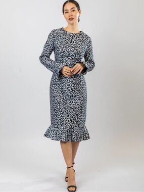 Animal Print long Sleeve Midi Dress